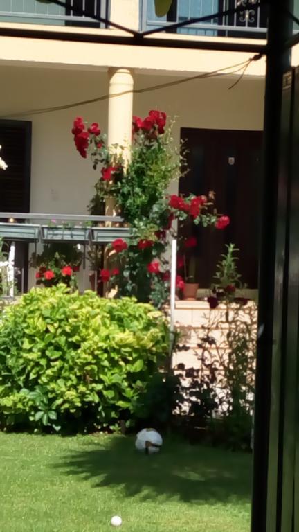 Rooms Rafomarija Medjugorje Ngoại thất bức ảnh