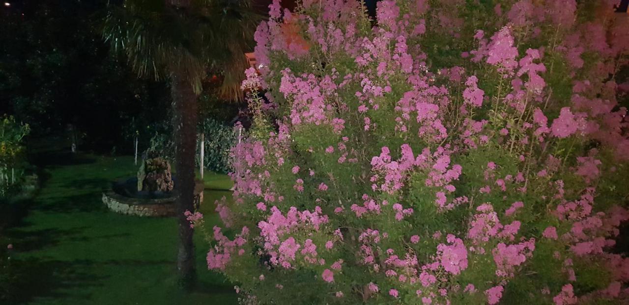 Rooms Rafomarija Medjugorje Ngoại thất bức ảnh